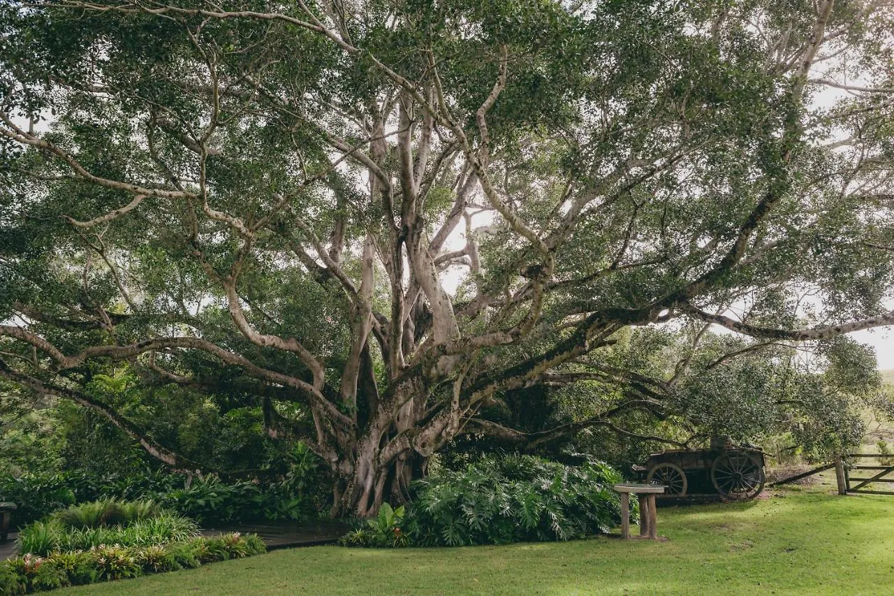 Holiday home The Eumundi Dairy Villa